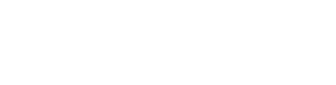 zlot