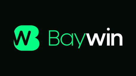 Bayspin