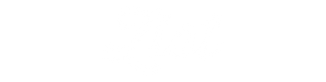 zlot